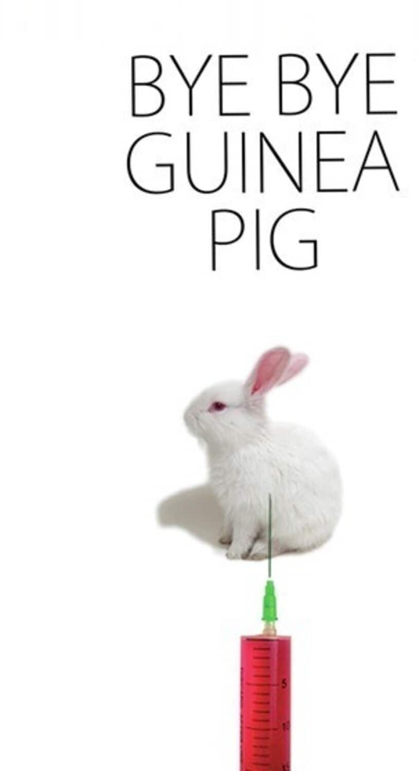 Bye Bye Guinea Pig  - DVD
