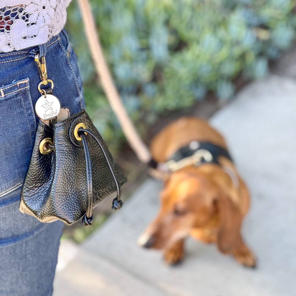 Angle. PoisePup - Genuine Leather Hands-Free Pet Walking and Training Treat Pouch for Dog - Black.
