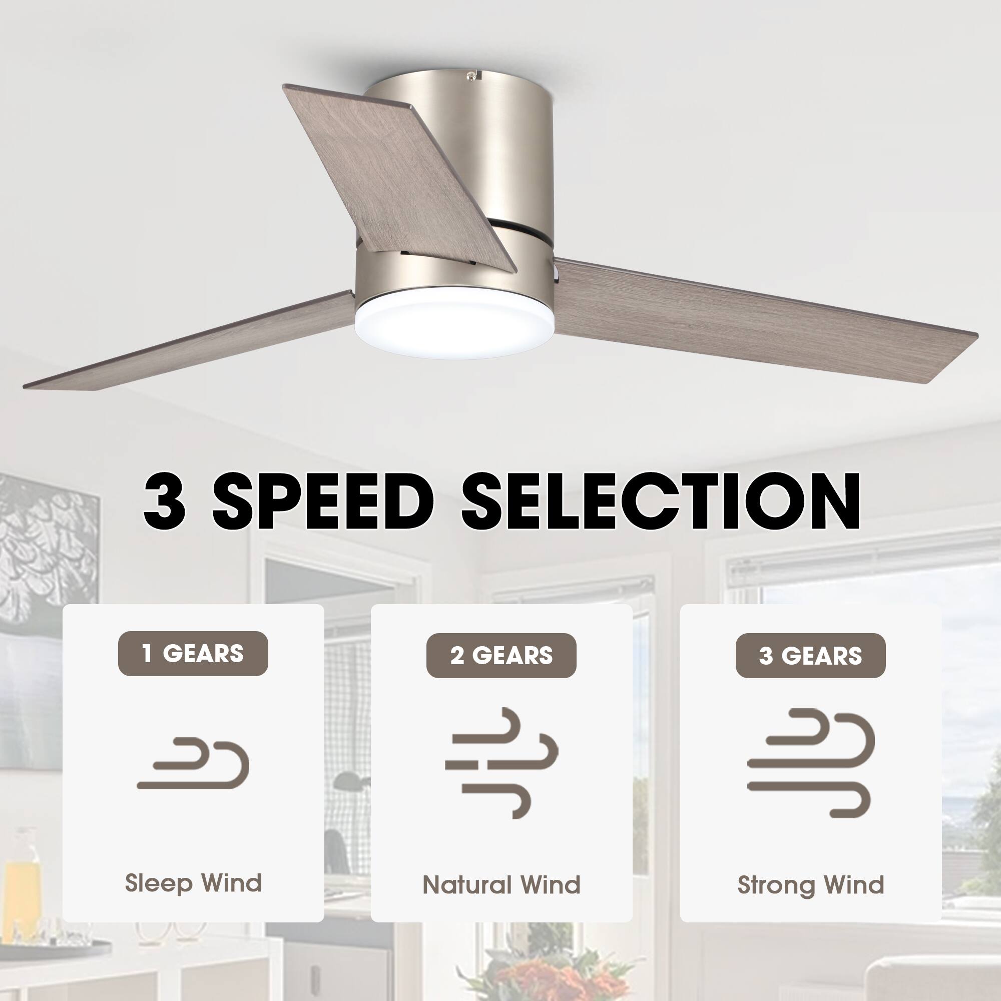 3 SPEED SELECTION

1 GEARS  
Sleep Wind

2 GEARS  
Natural Wind

3 GEARS  
Strong Wind