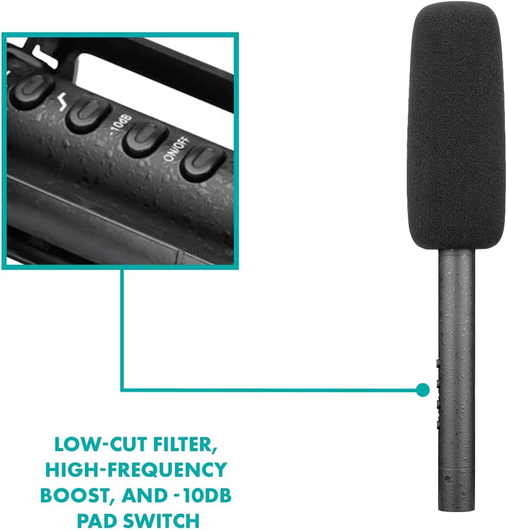 10dB ON/OFF LOW-CUT FILTER, HIGH-FREQUENCY BOOST, AND -10dB PAD SWITCH