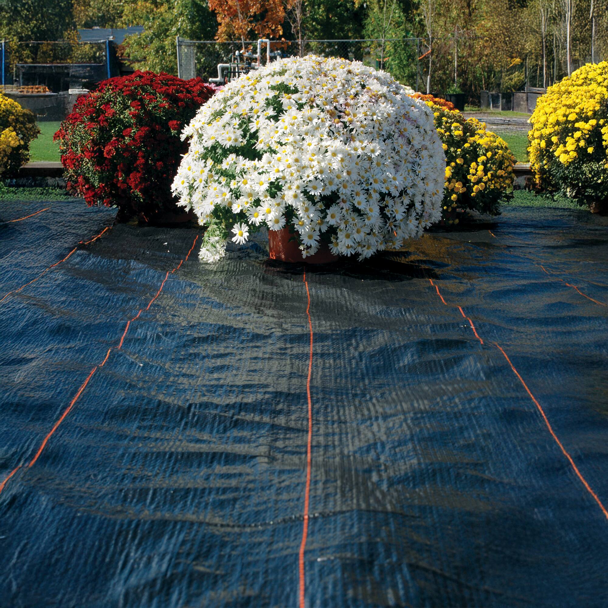 Alt View 5. DeWitt - DeWitt UltraWeb 3000 4' x 50' Ground Cover, Garden Barrier for Weed Control - Black.