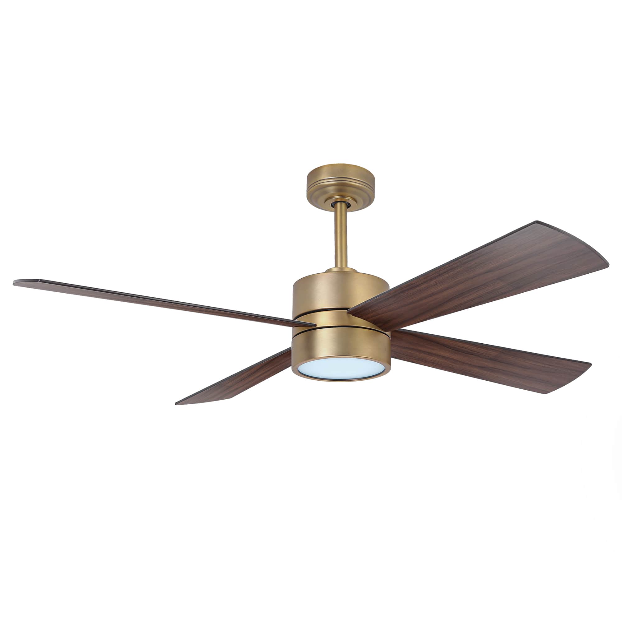 CHAIVUTRUAMRUDEEKOOL 【DIMENTIONOFCOLOUR】 Parrot Uncle 52 Inch RGB Smart Ceiling Fan with Lights