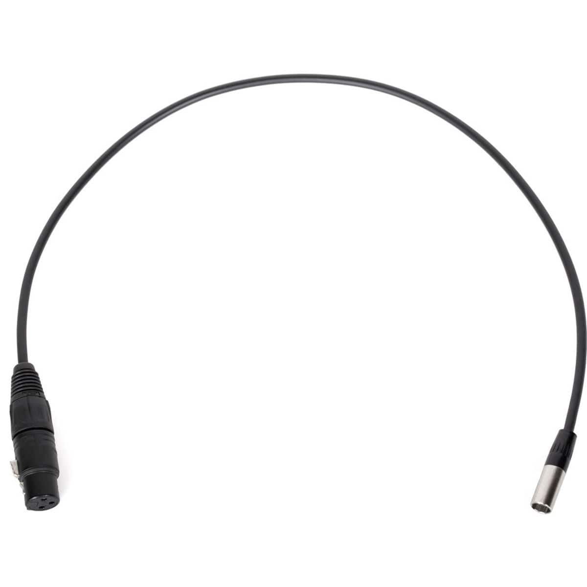 Wooden Camera - 20" Mini 3-Pin XLR Male to Full 3-Pin XLR F Audio Cable