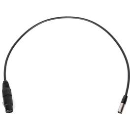 Wooden Camera - 20" Mini 3-Pin XLR Male to Full 3-Pin XLR F Audio Cable