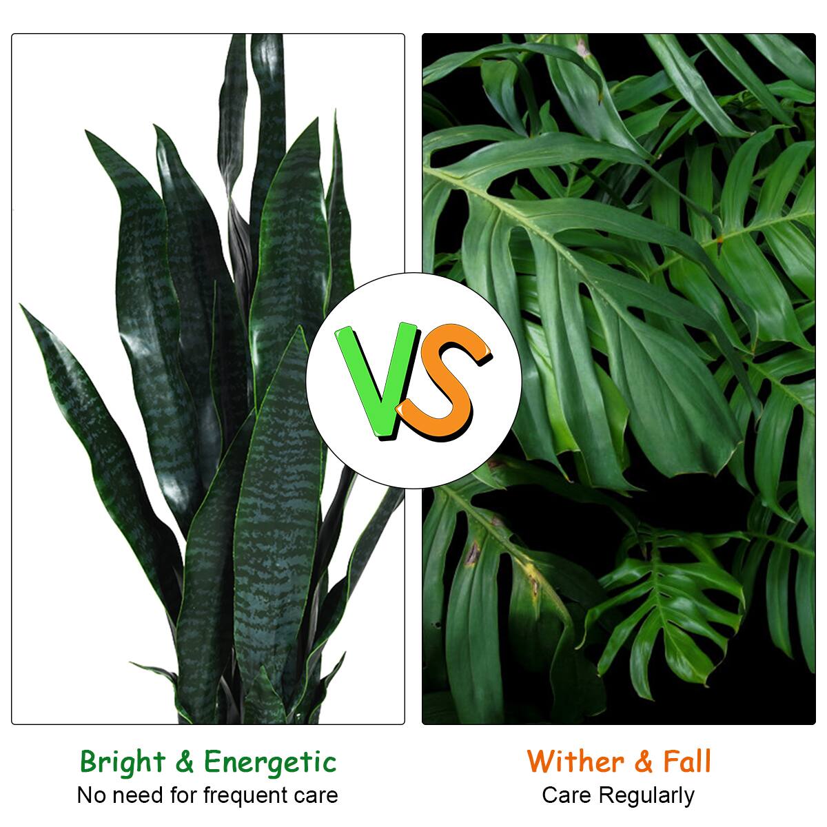 Bright & Energetic  
No need for frequent care  

VS  

Wither & Fall  
Care Regularly