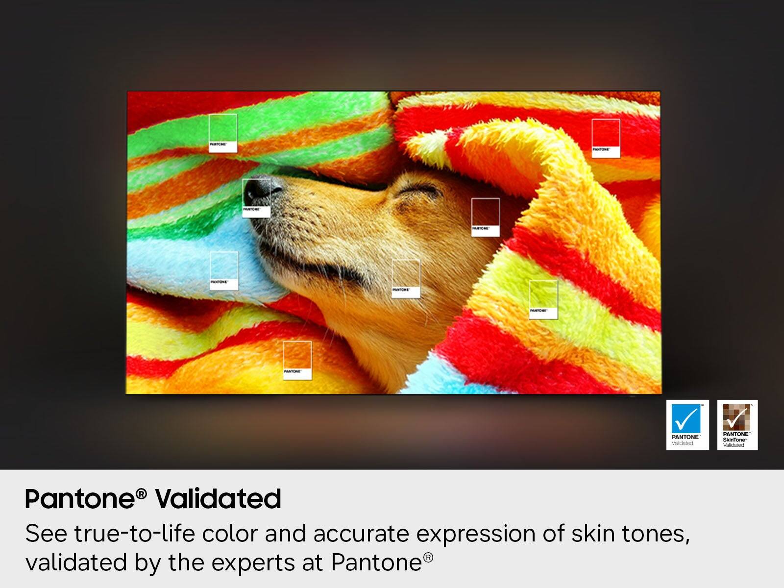 PROMONOTICANOMICS.COM

PANTONE® Validated
PANTONE® SkinTone Validated

Pantone® Validated
See true-to-life color and accurate expression of skin tones, validated by the experts at Pantone®