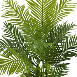 BreeBe - 5' Hawaii Palm Artificial Tree - Green