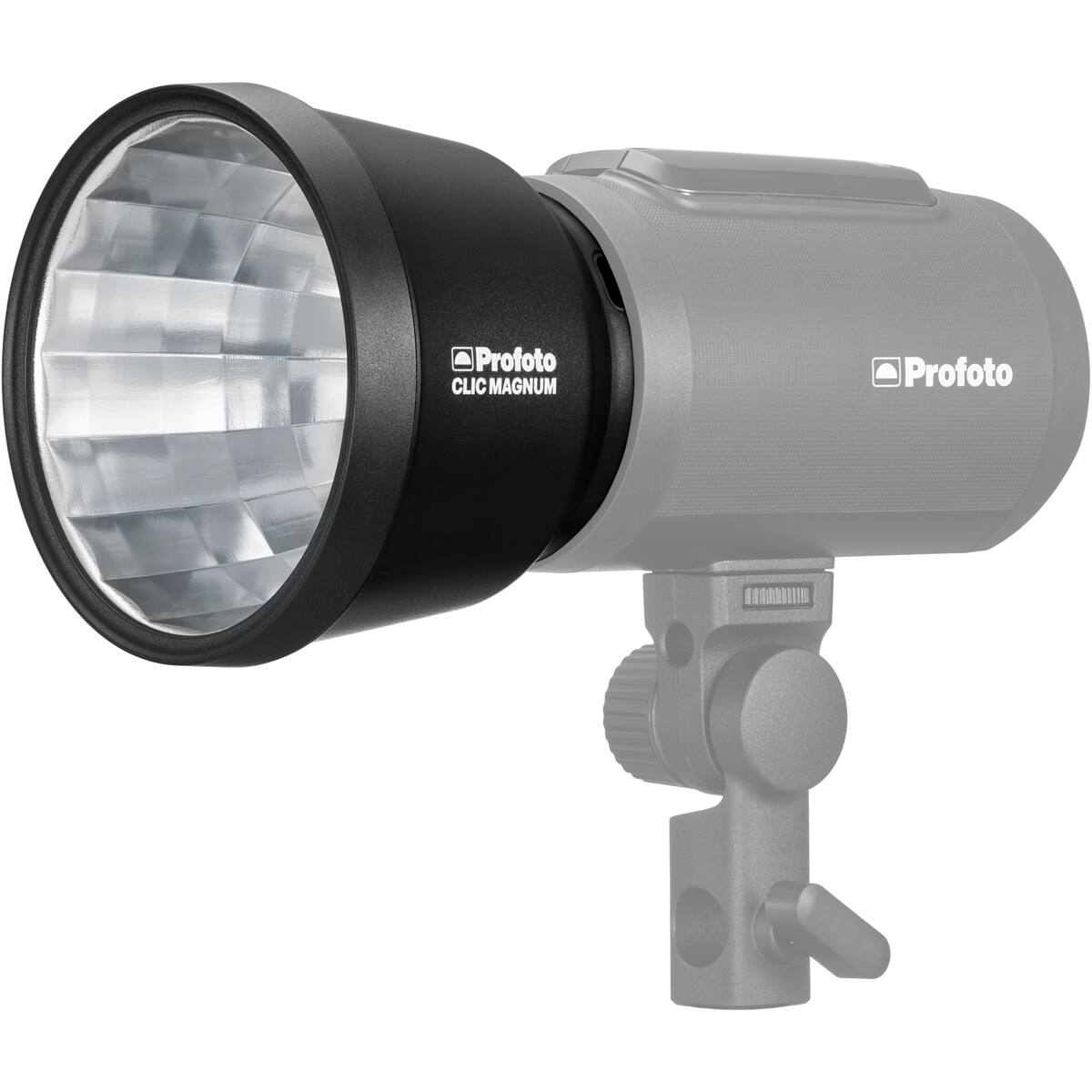 Profoto CLIC MAGNUM  
Profoto LORDIM
