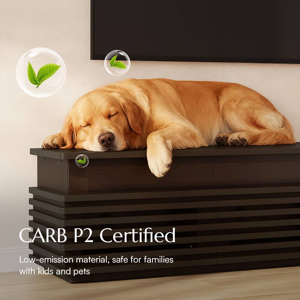 CARB P2 Certified  
Low-emission material, safe for families with kids and pets