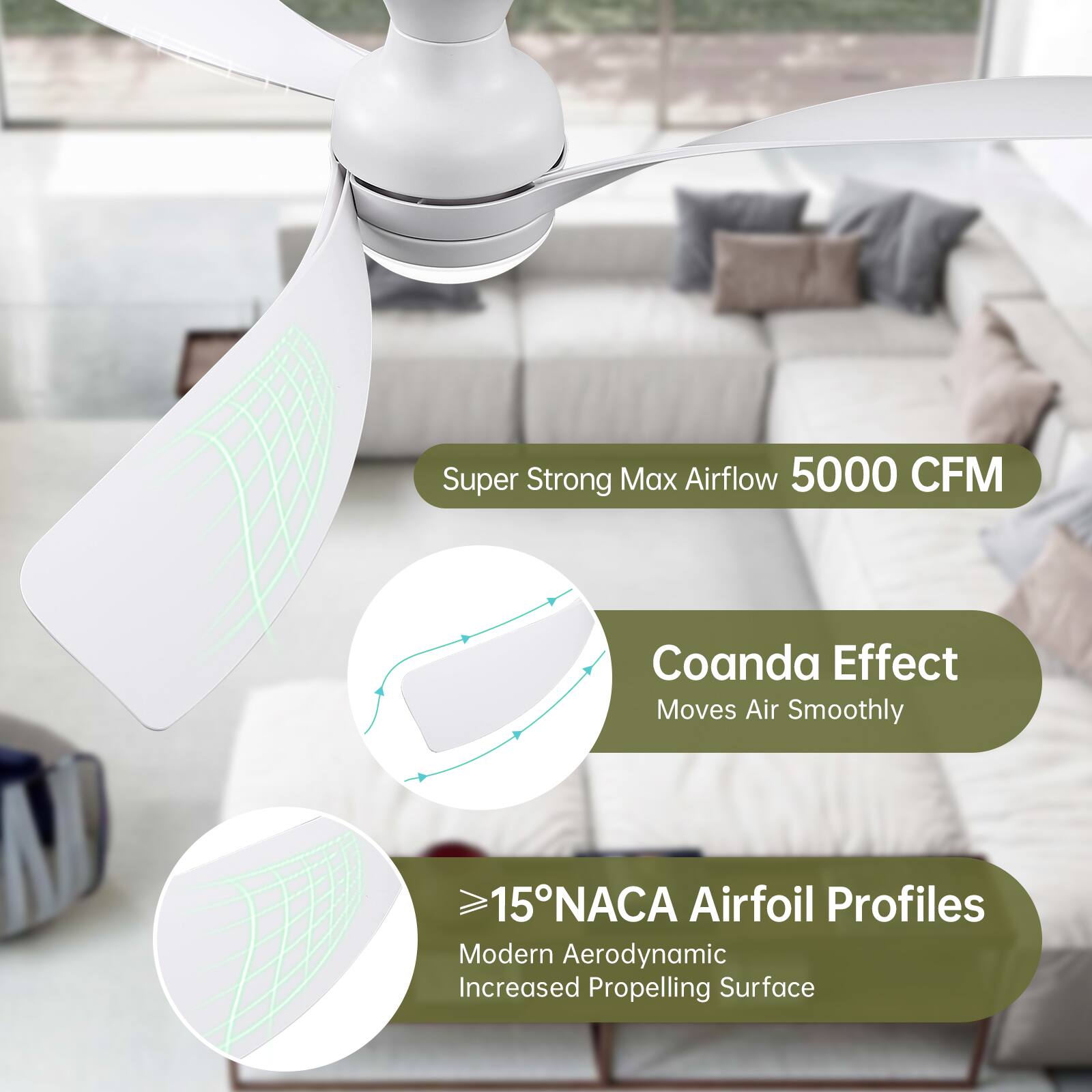 Super Strong Max Airflow 5000 CFM  
Coanda Effect Moves Air Smoothly  
≥15° NACA Airfoil Profiles  
Modern Aerodynamic Increased Propelling Surface