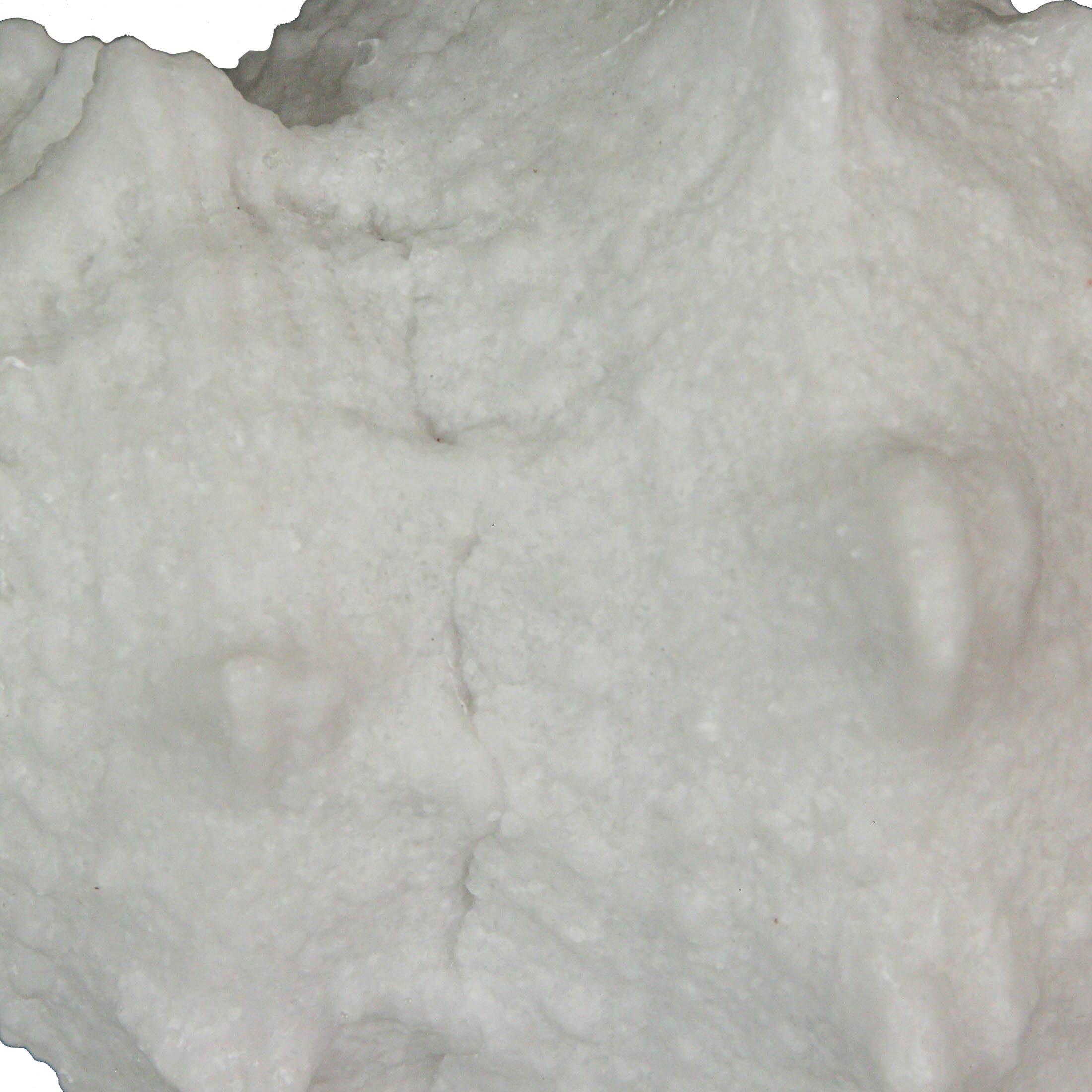 Alt View 2. Contrast Inc. - 8 Inch Resin LED Frog Conch Shell Accent Lamp Decorative Sea Table Light Nautical Home Decor - White.