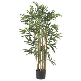 BreeBe - 3' Multi Bambusa Bamboo Tree w/500 Lvs - Green