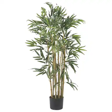 Front. BreeBe - 3' Multi Bambusa Bamboo Tree w/500 Lvs - Green.