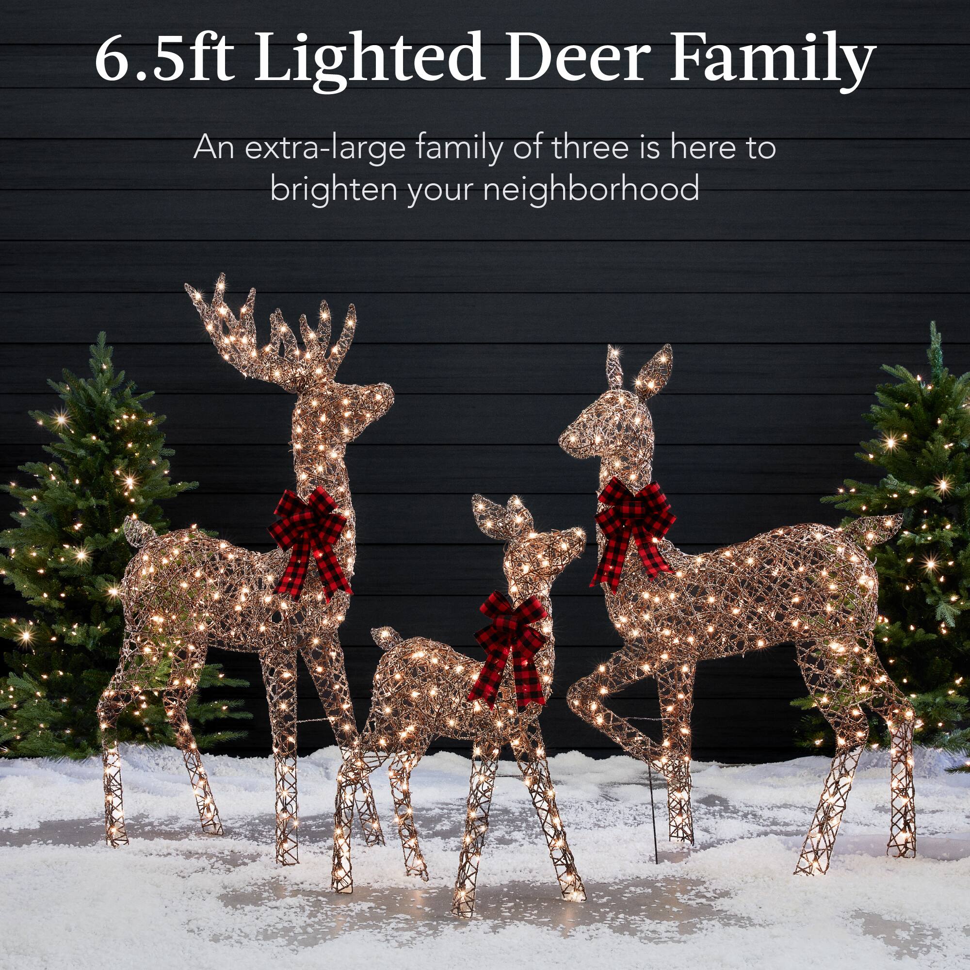 6.5ft Lighted Deer Family

An extra-large family of three is here to brighten your neighborhood