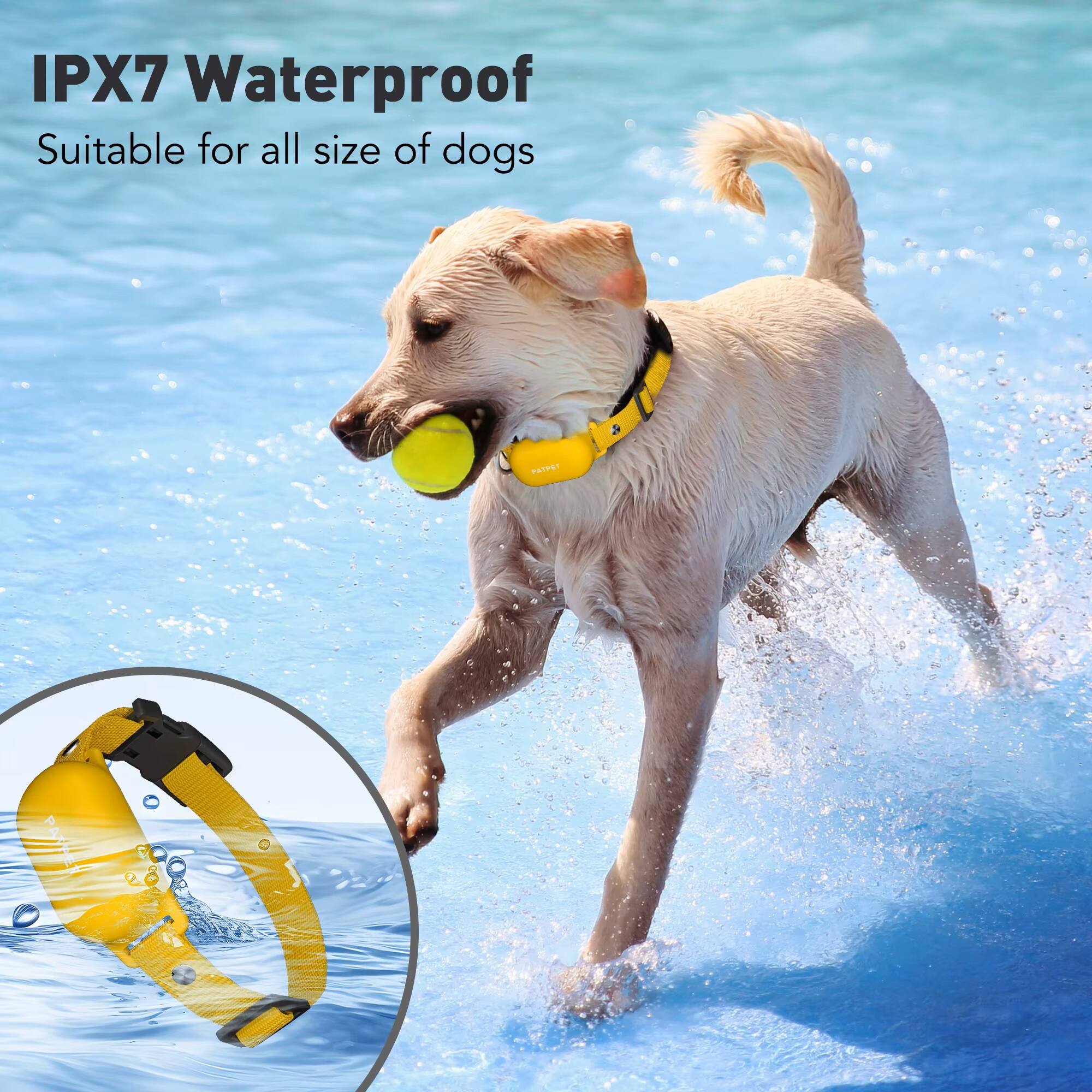 IPX7 Waterproof  
Suitable for all sizes of dogs