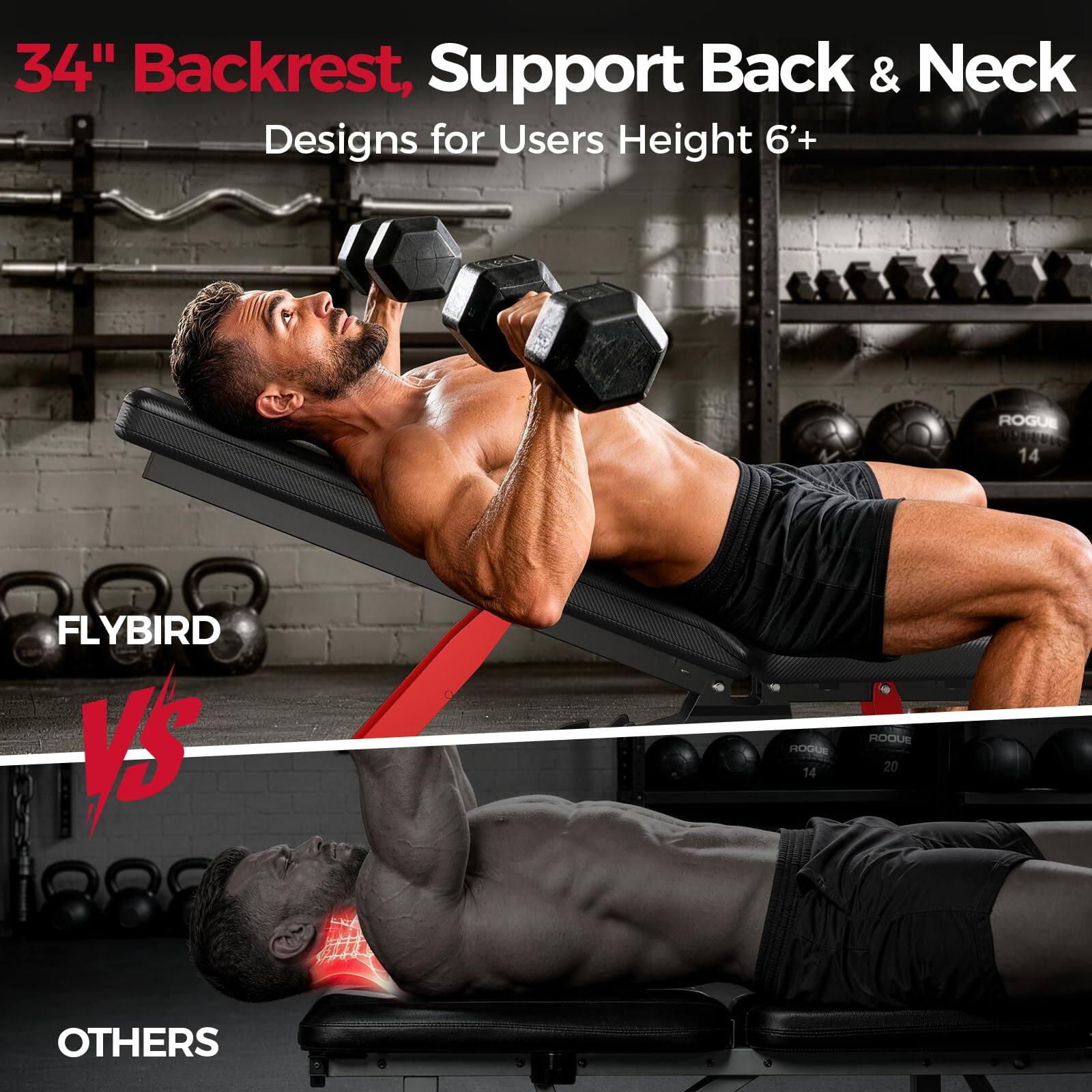 34" Backrest, Support Back & Neck Designs for Users Height 6+

ROGUE 14
FLYBIRD B
ROGUE 14
ROGUE 20
OTHERS