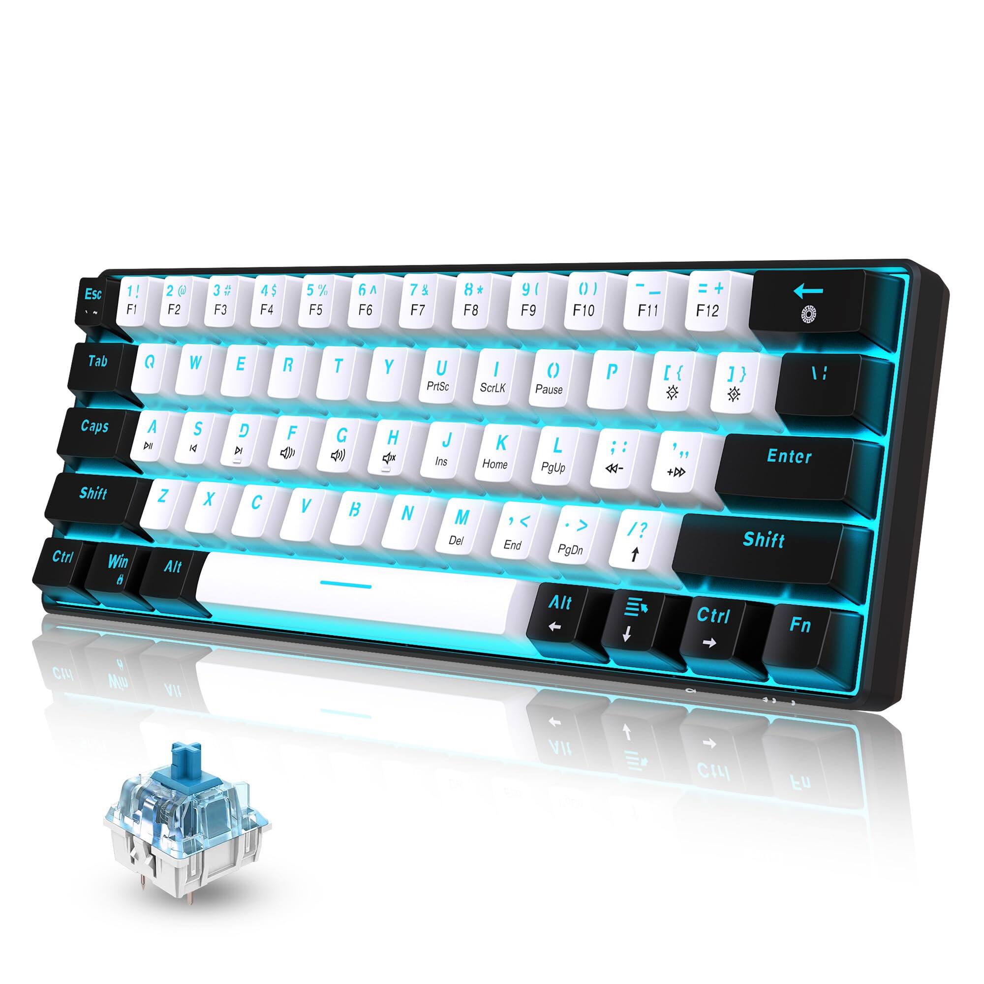 Black White(Ice Blue Light)/Blue Switch