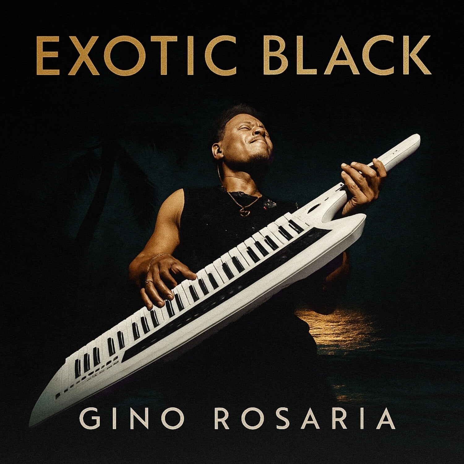 Gino Rosaria - Exotic Black   - COMPACT DISCS [CD] price history on PriceWatchPro