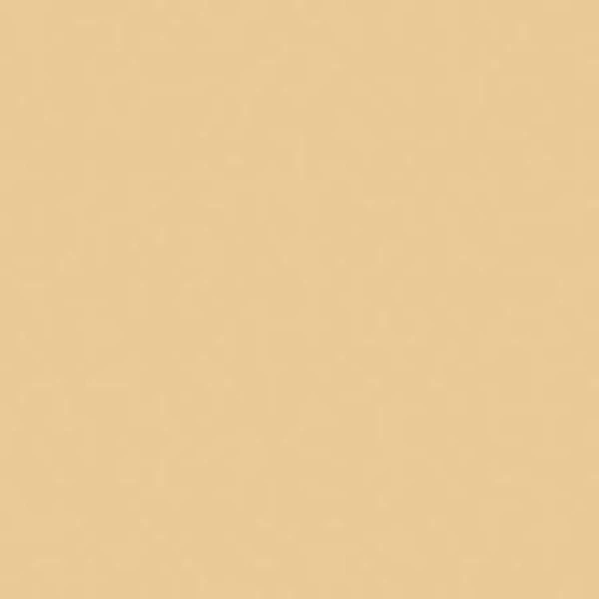 Rosco - Cinegel sun 1/2 CTO, 20x24" Color Correction Lighting Filter