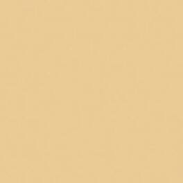 Rosco - Cinegel sun 1/2 CTO, 20x24" Color Correction Lighting Filter