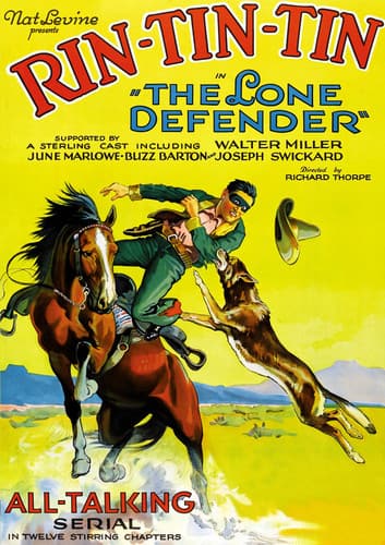 The Lone Defender  - DVD