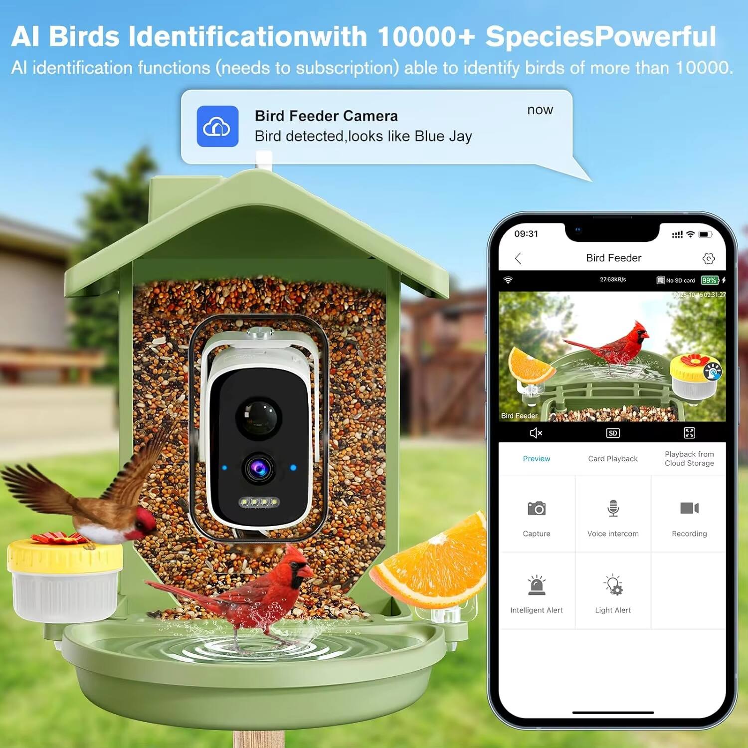 AI Birds Identification with 10000+ Species  
Powerful AI identification functions (needs to subscription) able to identify birds of more than 10000.  

Bird Feeder Camera  
Bird detected, looks like Blue Jay now  

Bird Feeder  
263K  
NO SD card  
2%  

Preview  
Card Playback  
Playback from Cloud Storage  
Capture  
Voice intercom  
Recording  
Intelligent Alert  
Light Alert