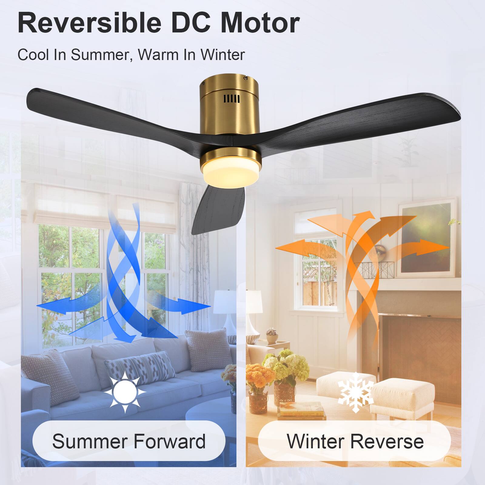 Reversible DC Motor  
Cool In Summer, Warm In Winter  

Summer Forward  
Winter Reverse