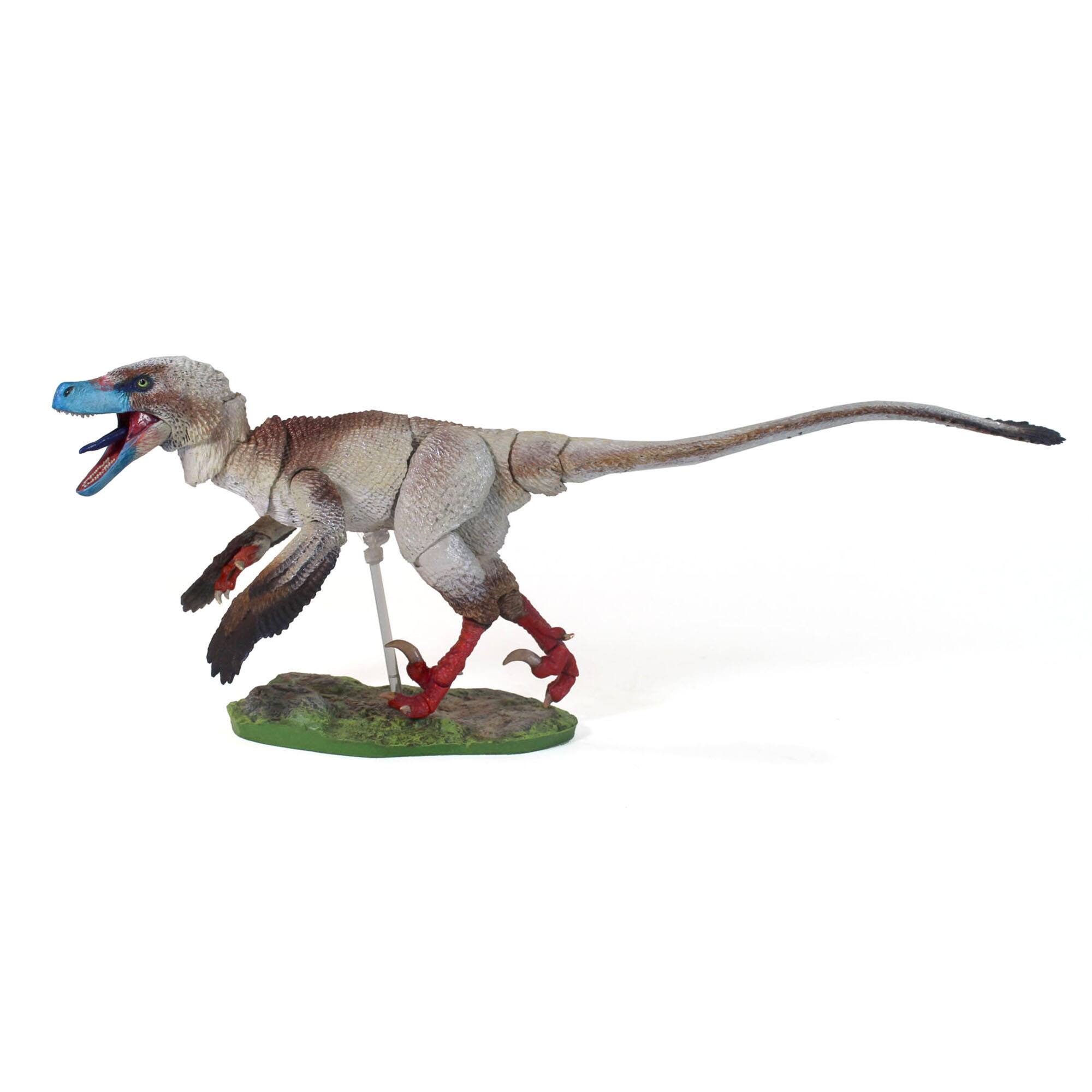 Alt View 4. Creative Beast Studio - Beasts of the Mesozoic: Acheroraptor Temertyorum (V2).