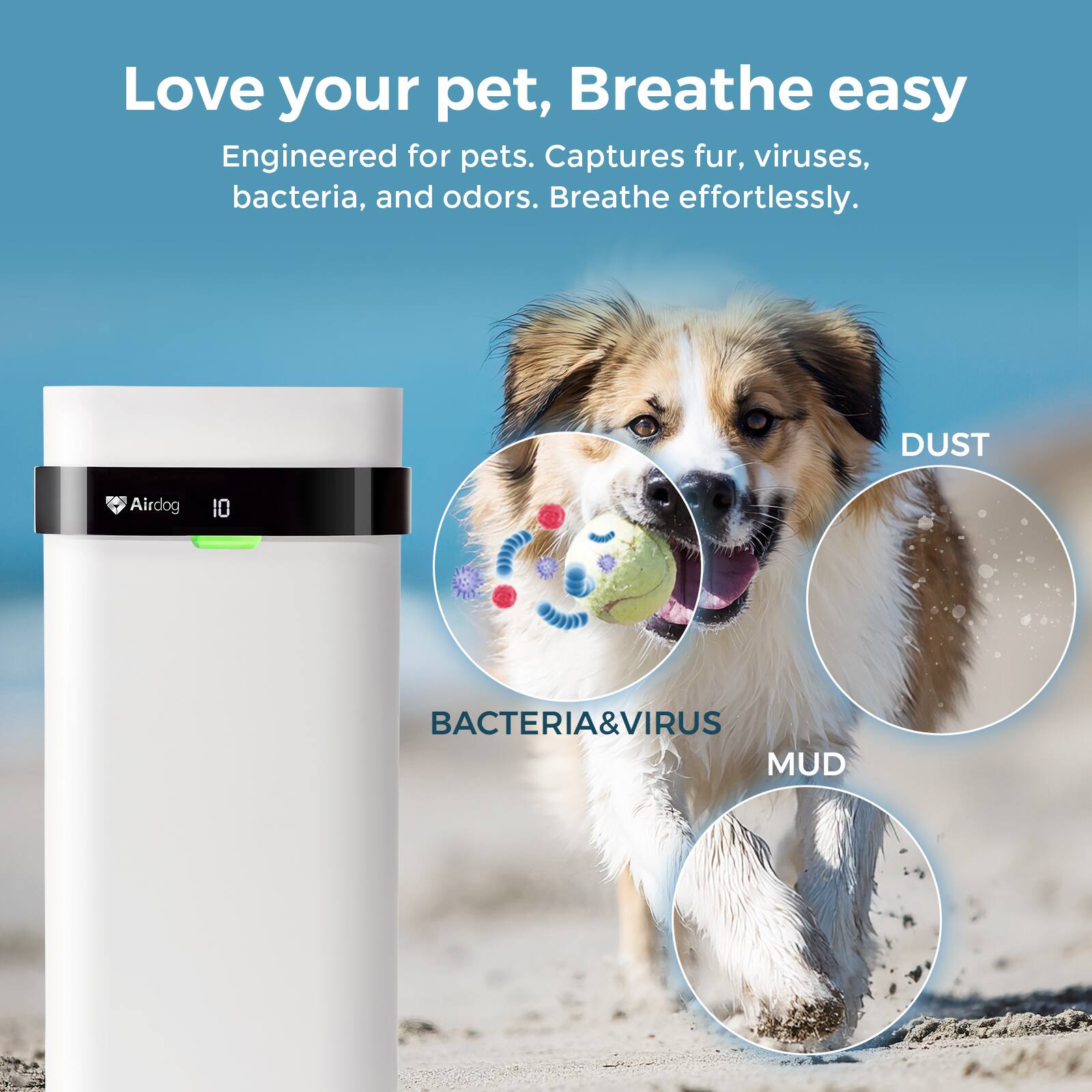 Love your pet, Breathe easy

Engineered for pets. Captures fur, viruses, bacteria, and odors. Breathe effortlessly.

DUST  
BACTERIA&VIRUS  
MUD