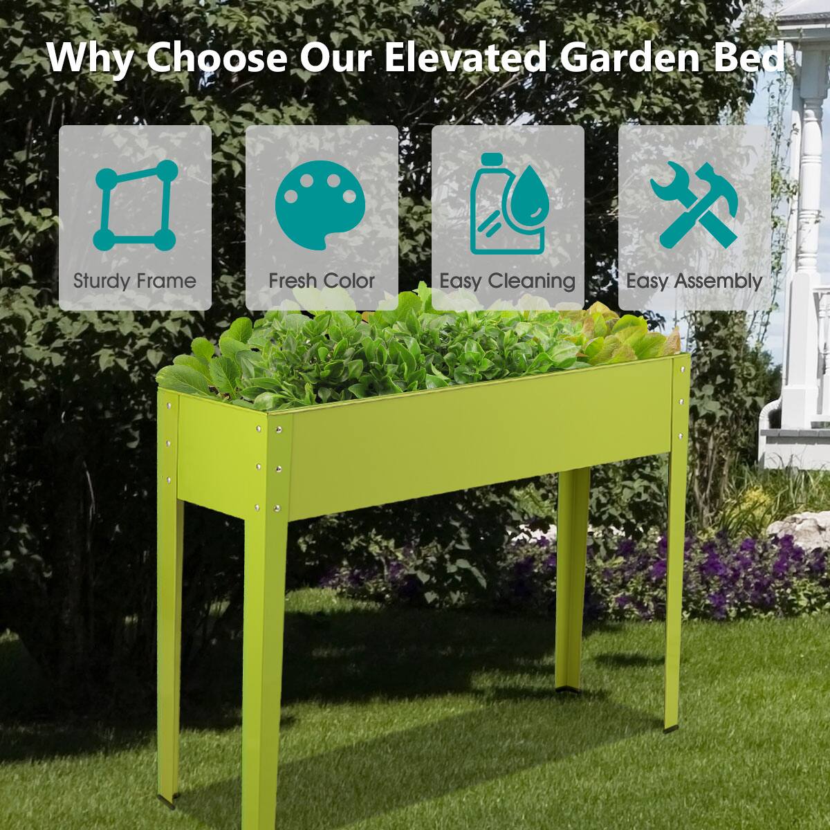 Why Choose Our Elevated Garden Bed

- Sturdy Frame
- Fresh Color
- Easy Cleaning
- Easy Assembly