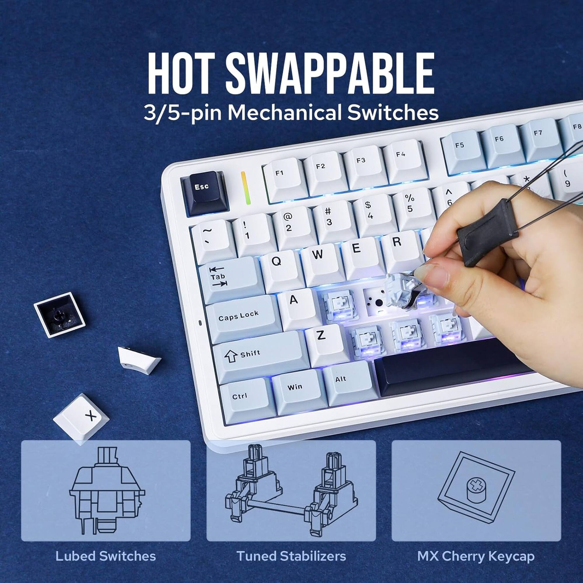 HOT SWAPPABLE  
3/5-pin Mechanical Switches  

F6 F5 F6 F3 F2 F1 Esc A % 6 $ 5 # @ 4 ! 3 ~ 2 1 R E W Q Tab F7 * FB ( 9 I Caps Lock Shift A Z X Ctri Win Alt Lubed Switches Tuned Stabilizers MX Cherry Keycap