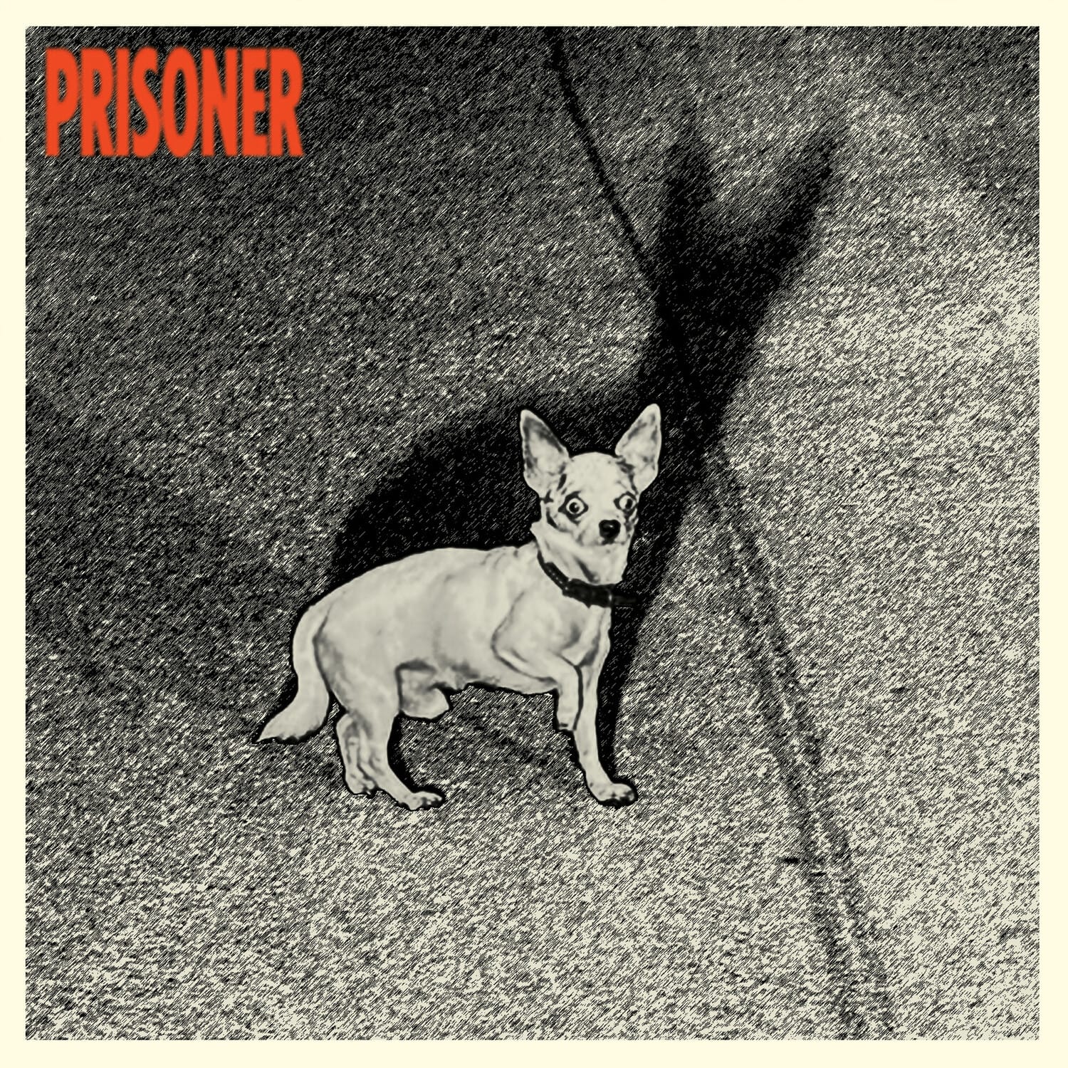 Prisoner - Prisoner   - VINYL LP price history on PriceWatchPro