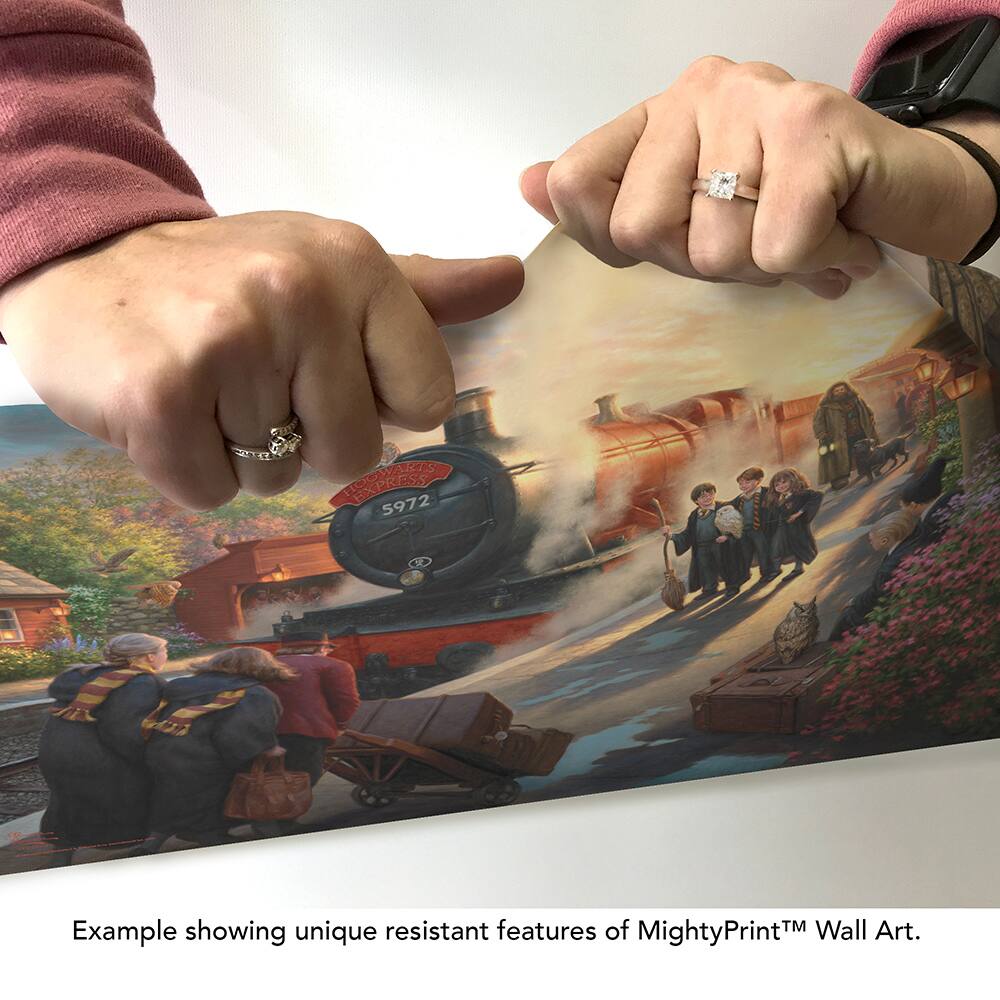 Example showing unique resistant features of MightyPrint™ Wall Art.