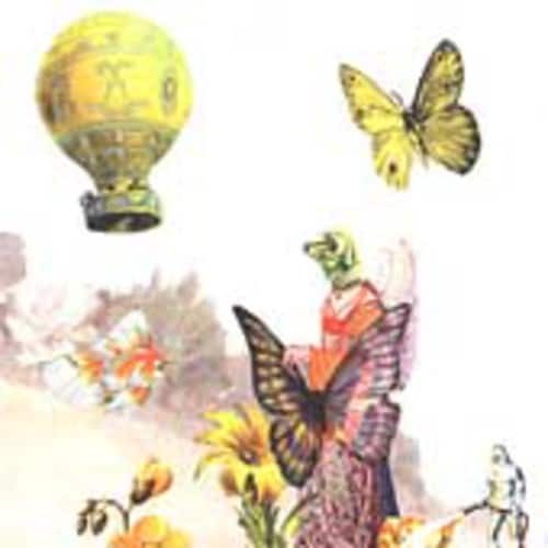 The Skygreen Leopards - Life and Love In Sparrow's Meadow  - COMPACT DISCS
