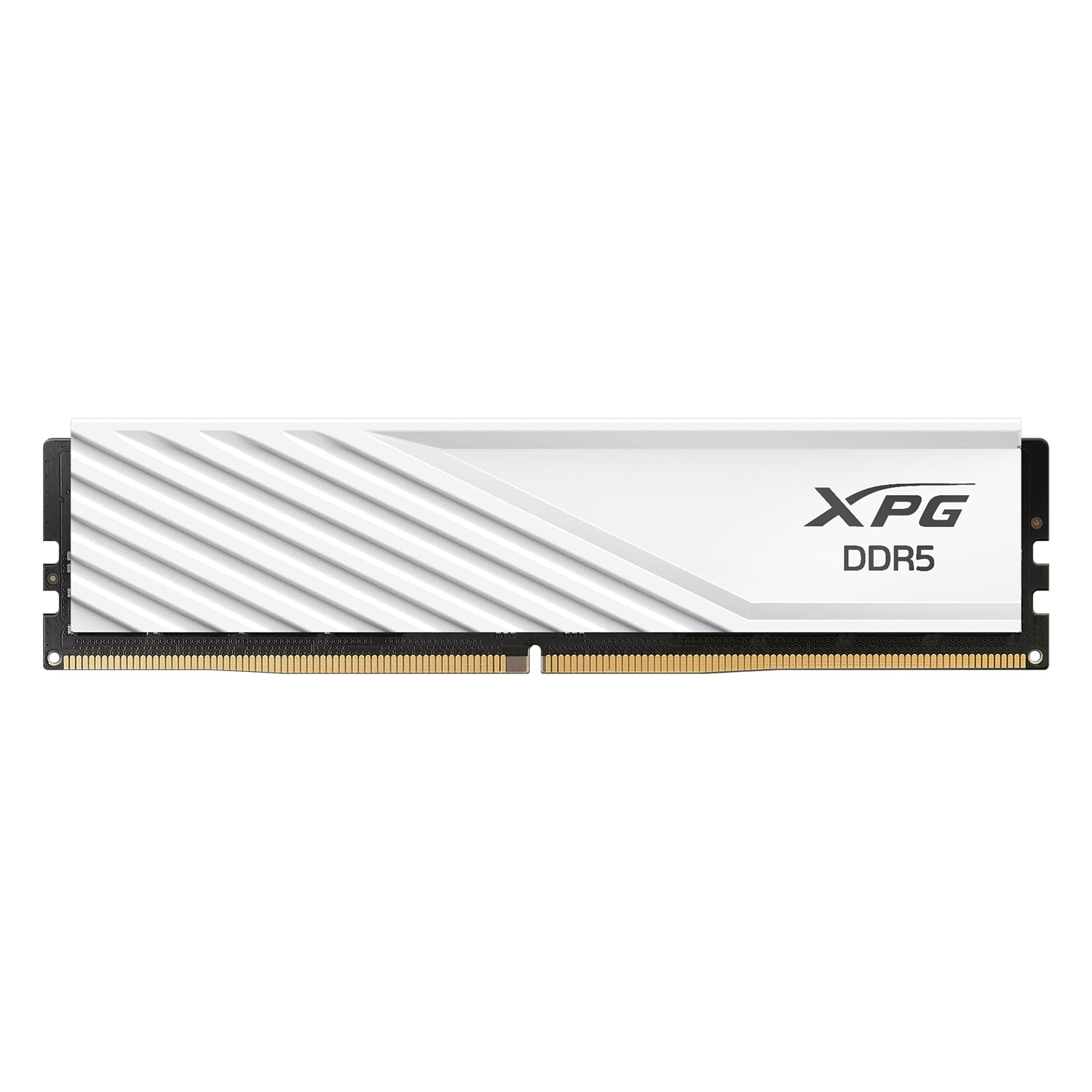 XPG DDR5