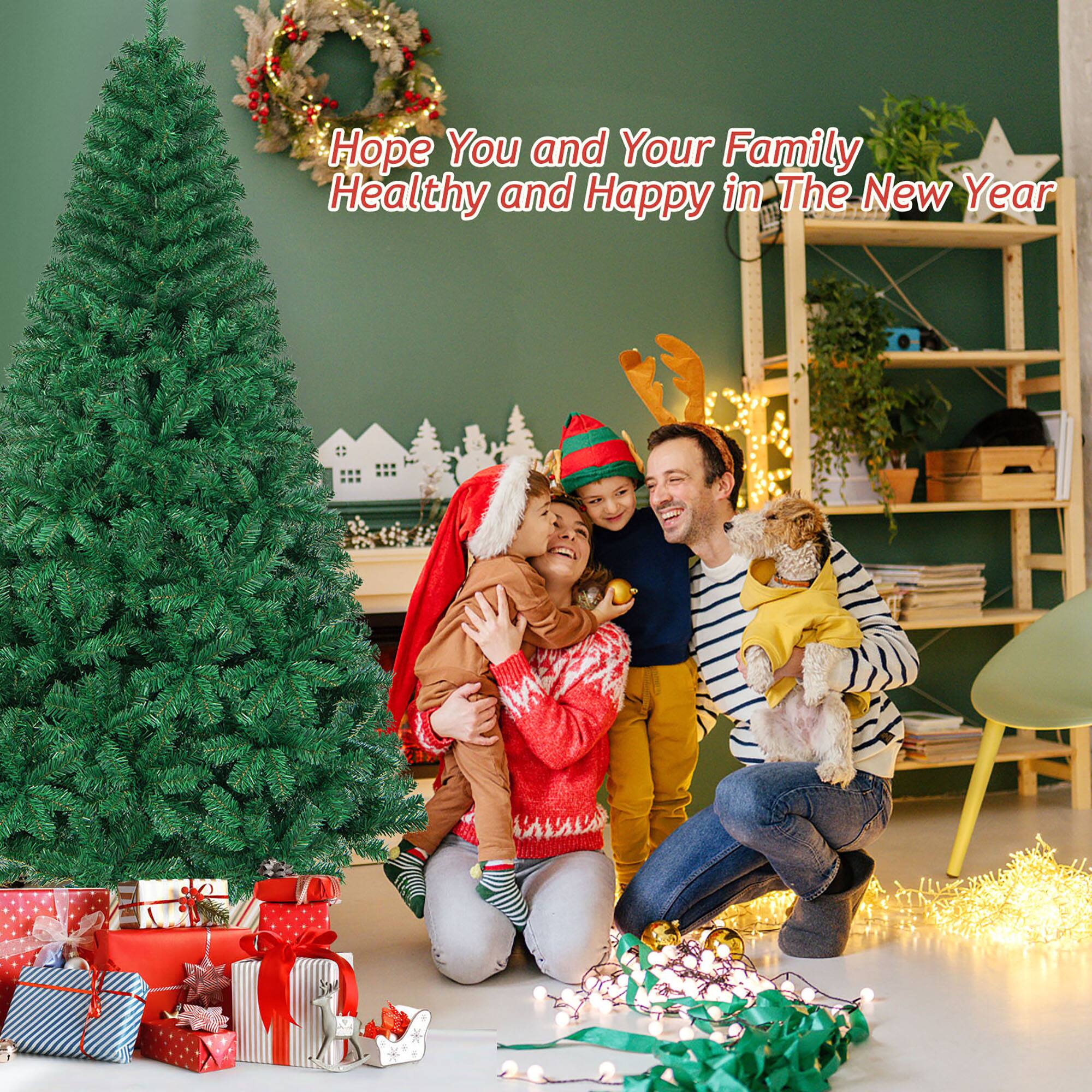 Hope You and Your Family Healthy and Happy in The New Year