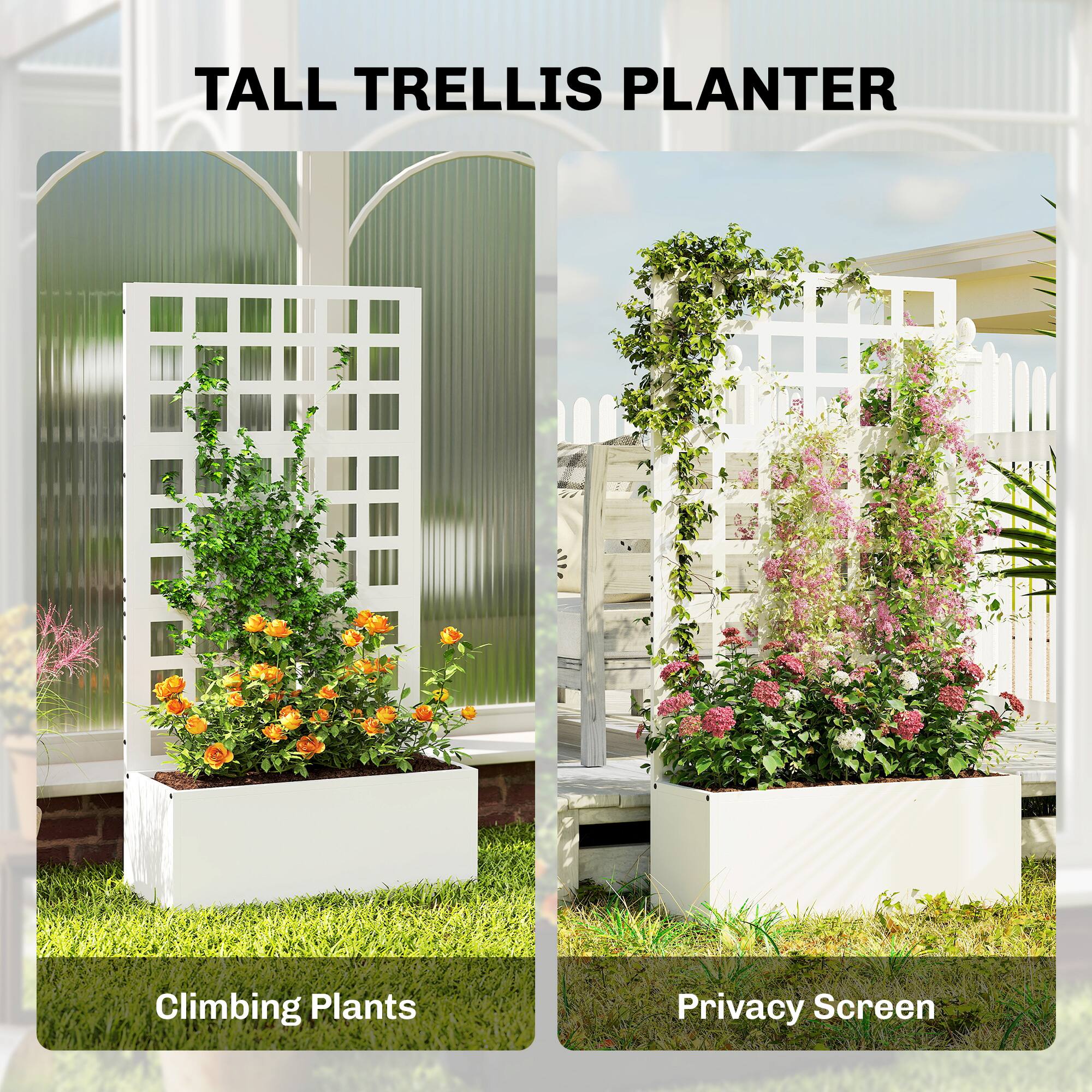TALL TRELLIS PLANTER  
Climbing Plants  
Privacy Screen