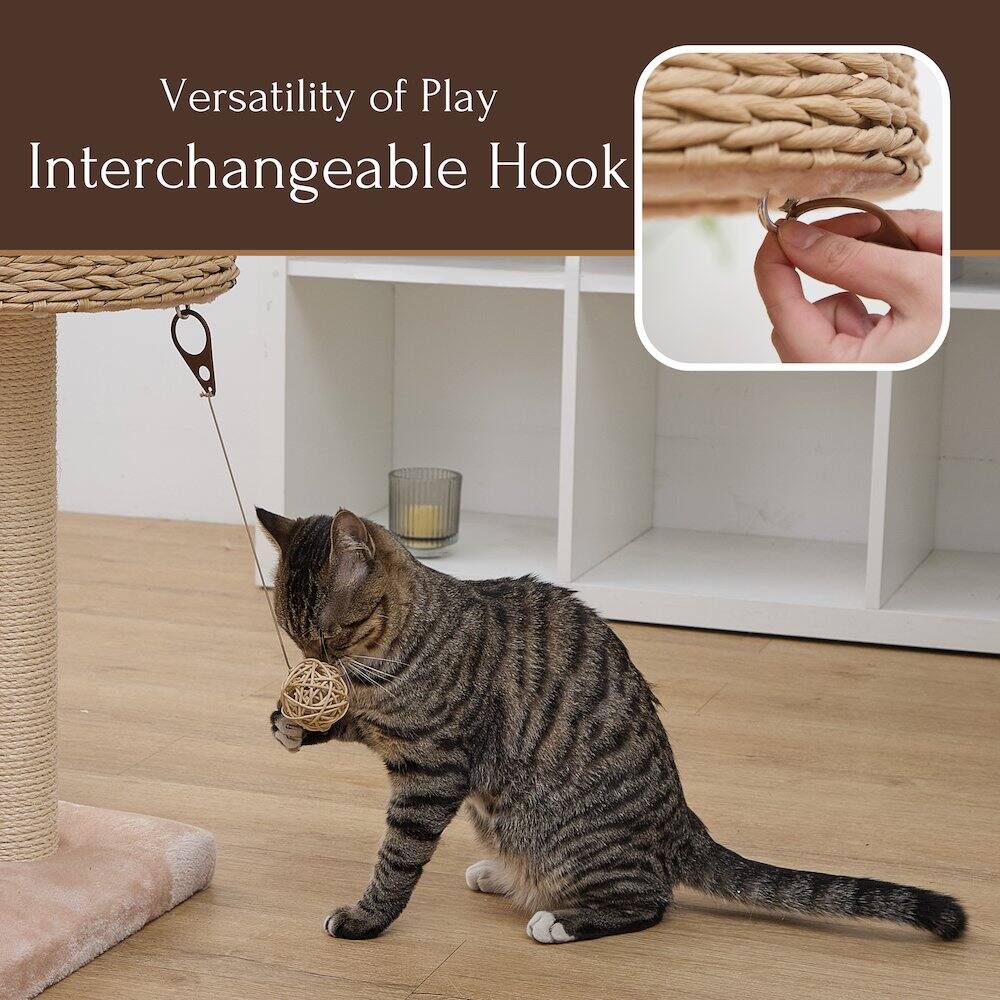 Versatility of Play  
Interchangeable Hook