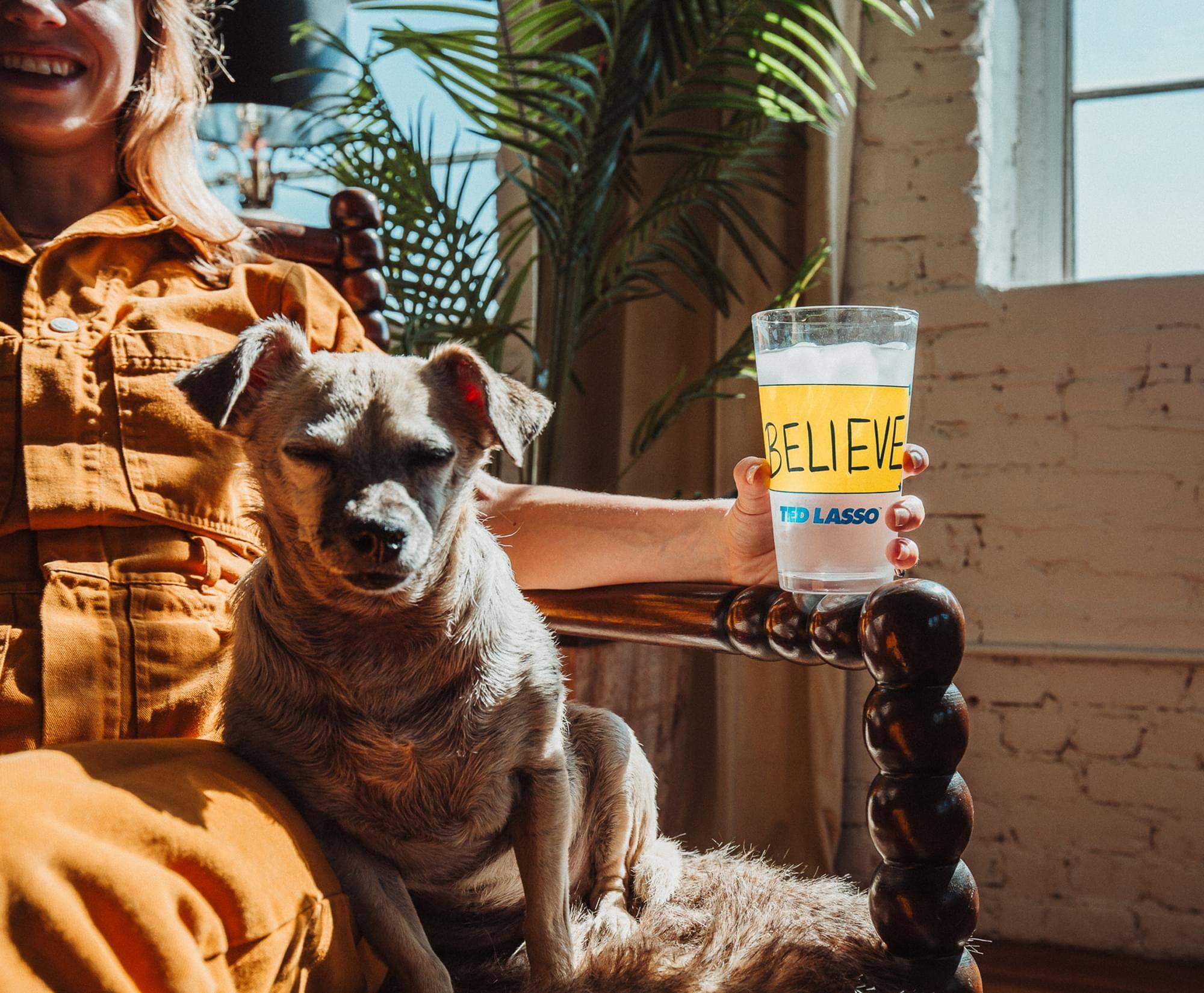 media item thumbnail