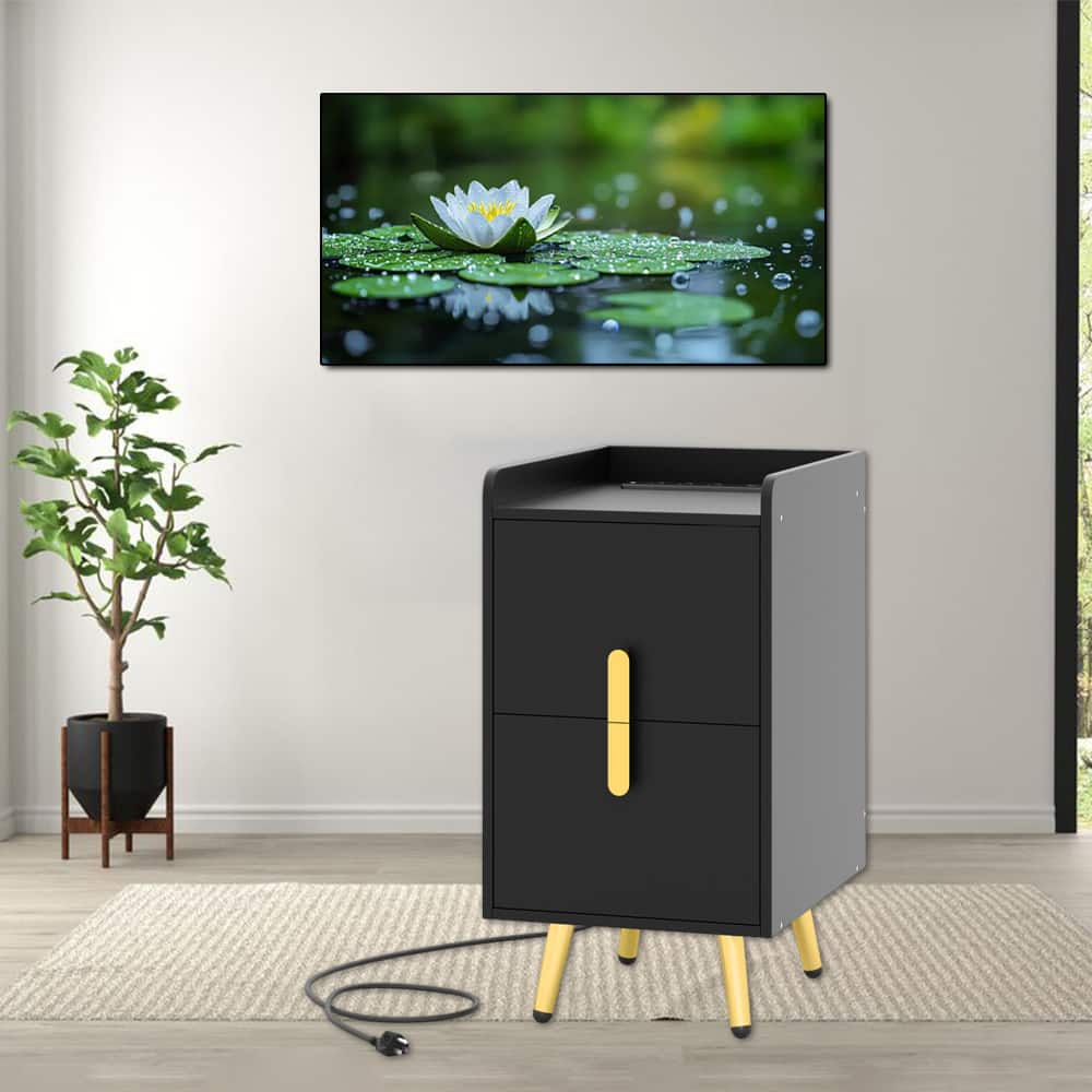 Hivvago - Stylish Nightstands with Double Drawer Storage and Dual USB Ports - Black