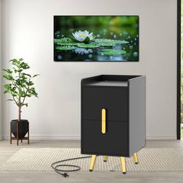 Hivvago - Stylish Nightstands with Double Drawer Storage and Dual USB Ports - Black