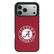 ALABAMA CRIMSON TIDE
