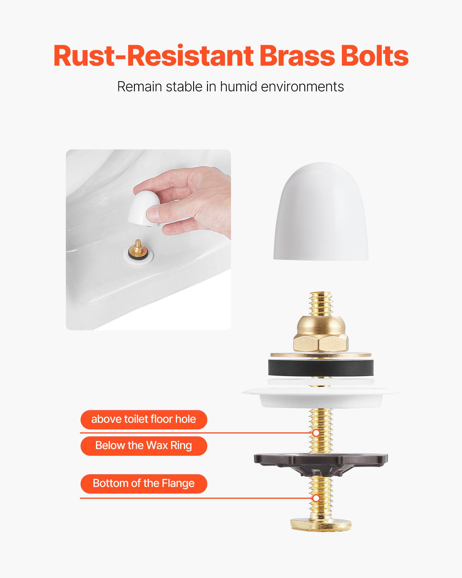 Rust-Resistant Brass Bolts  
Remain stable in humid environments  

- above toilet floor hole  
- Below the Wax Ring  
- Bottom of the Flange