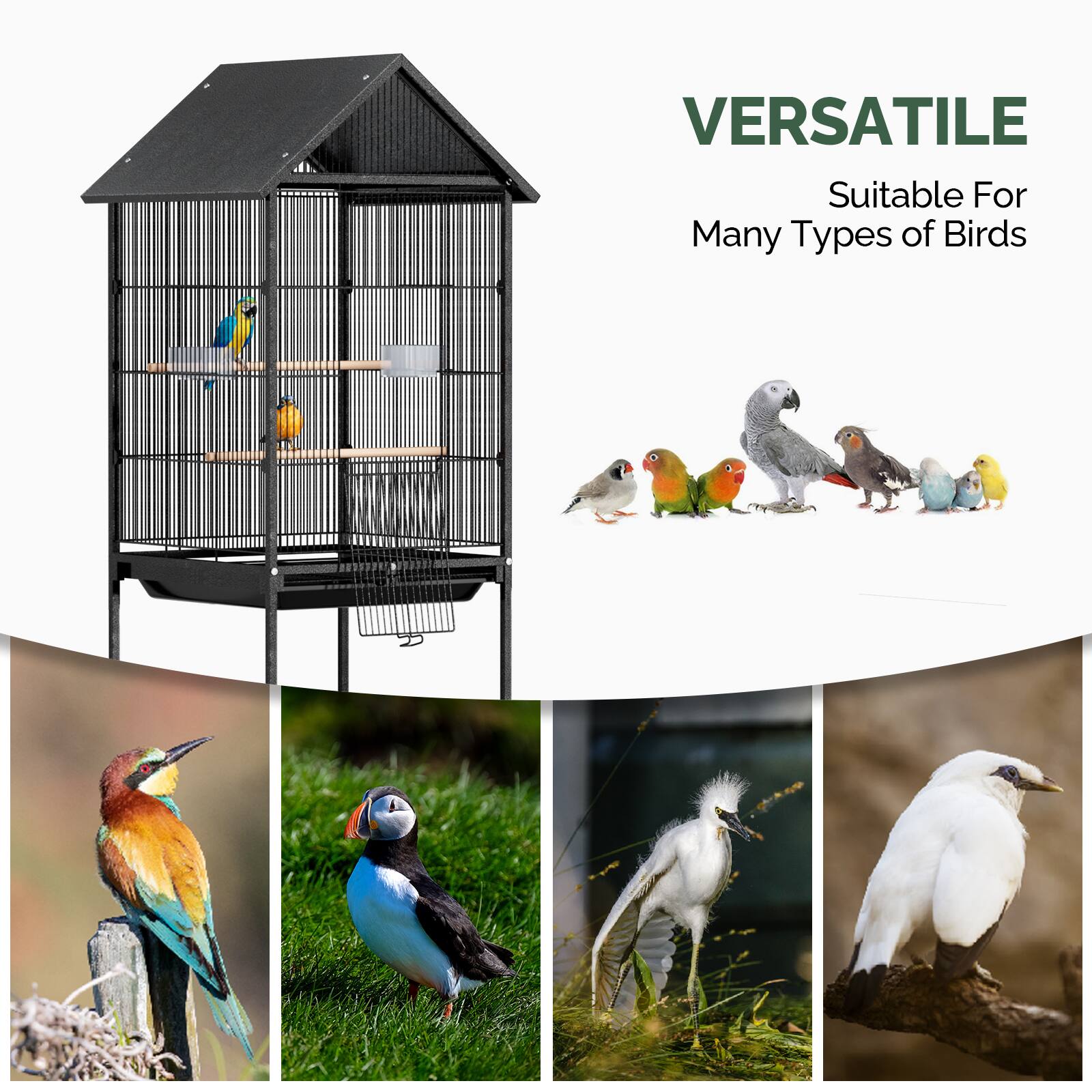 VERSATILE  
Suitable For Many Types of Birds