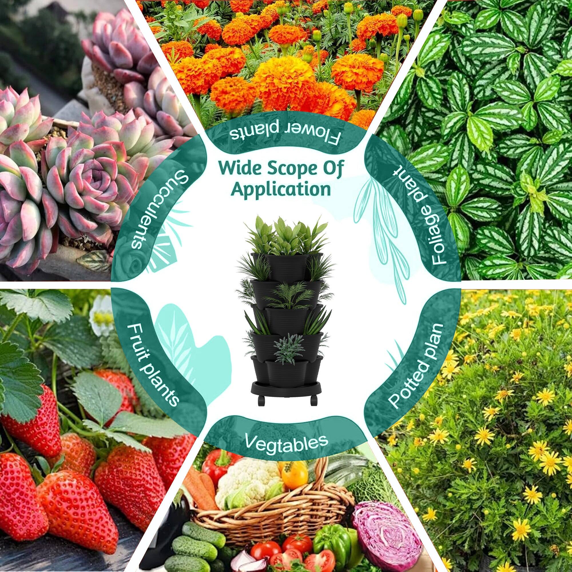 Wide Scope Of Application

- Succulents
- Foliage plants
- Fruit plants
- Vegetables
- Potted plants