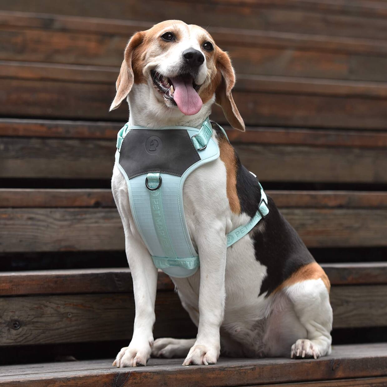 Alt View 4. PET MARVEL - PET MARVEL Adjustable Embroidered Stylish Dog Harness, Mint Green, L - Mint Green.