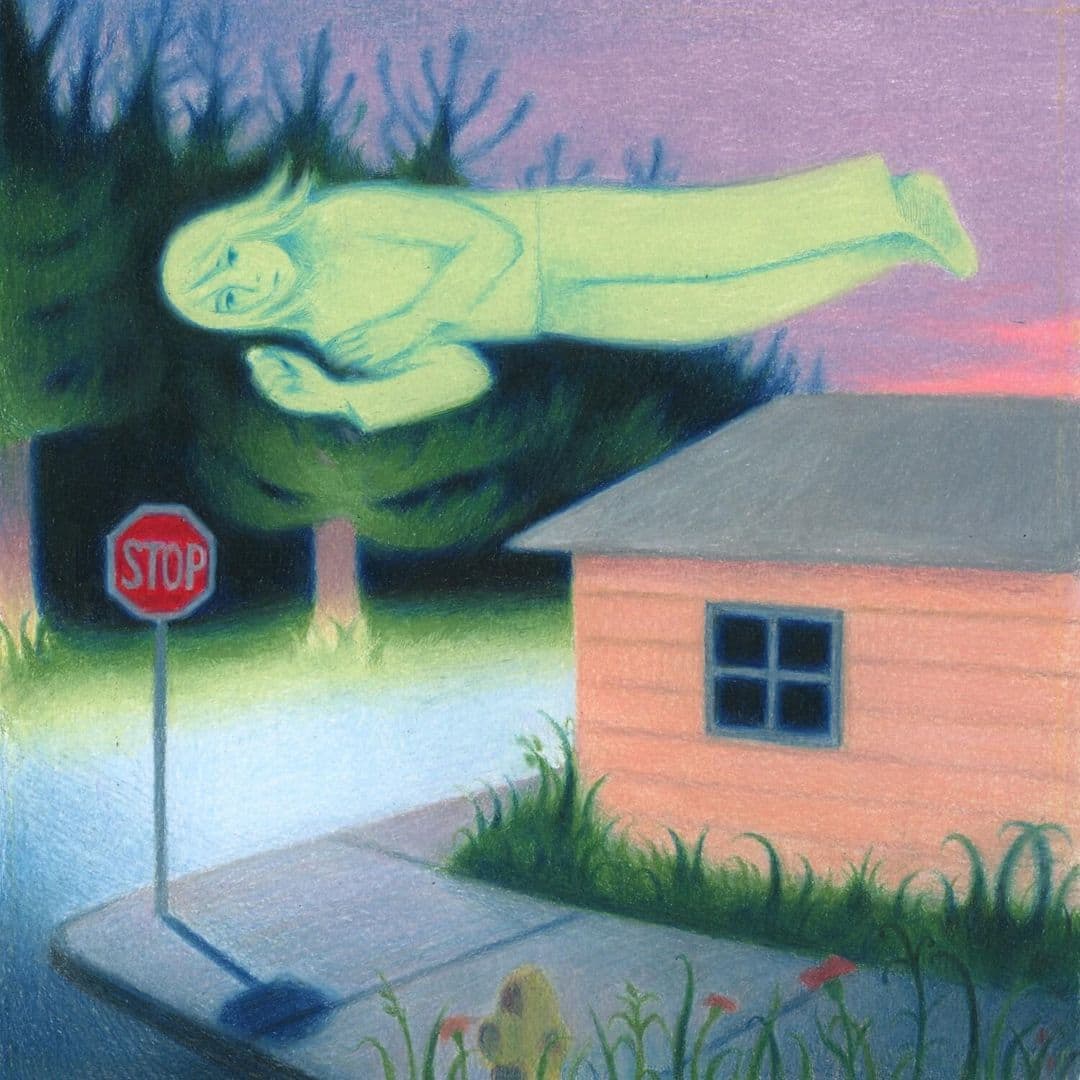 Living While Dying [LP] [VINYL]