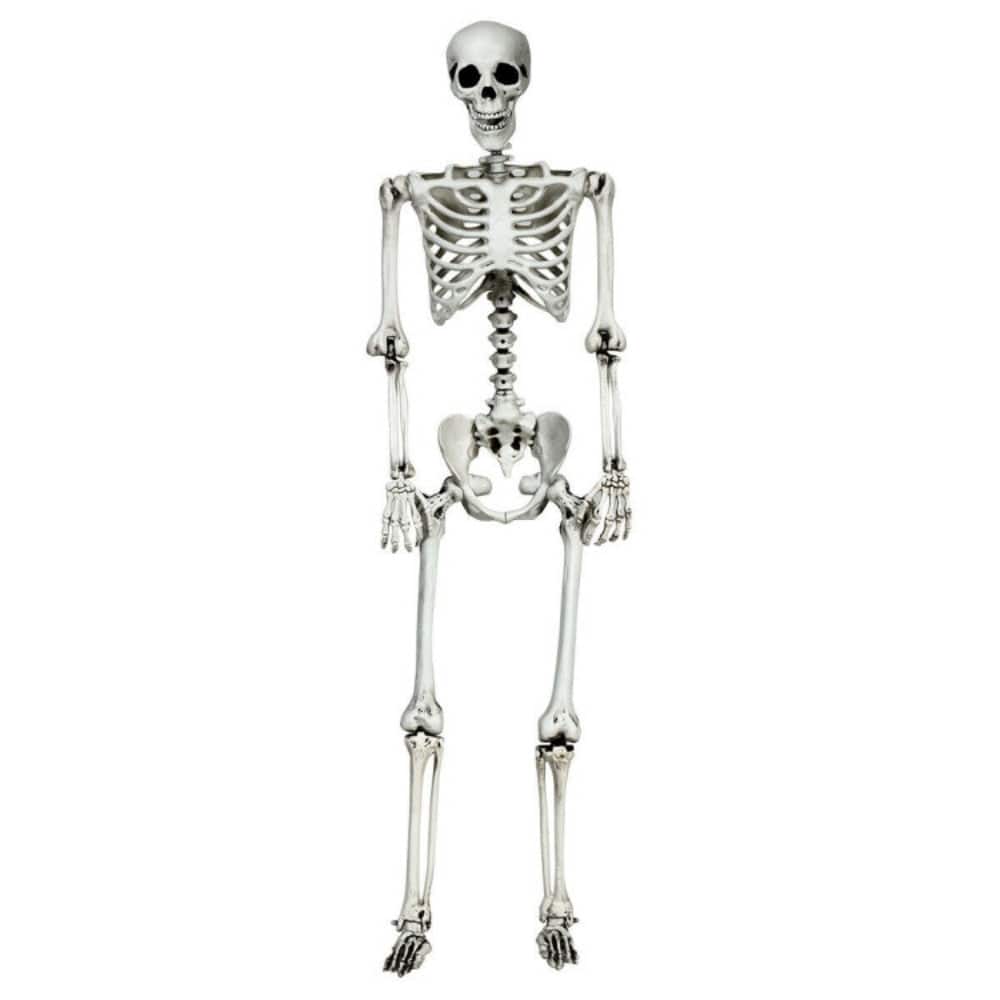 Boyel Living - Life-Size Hanging Skeleton Decor for Halloween - White