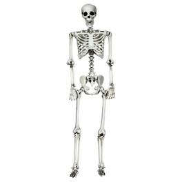 Boyel Living - Life-Size Hanging Skeleton Decor for Halloween - White