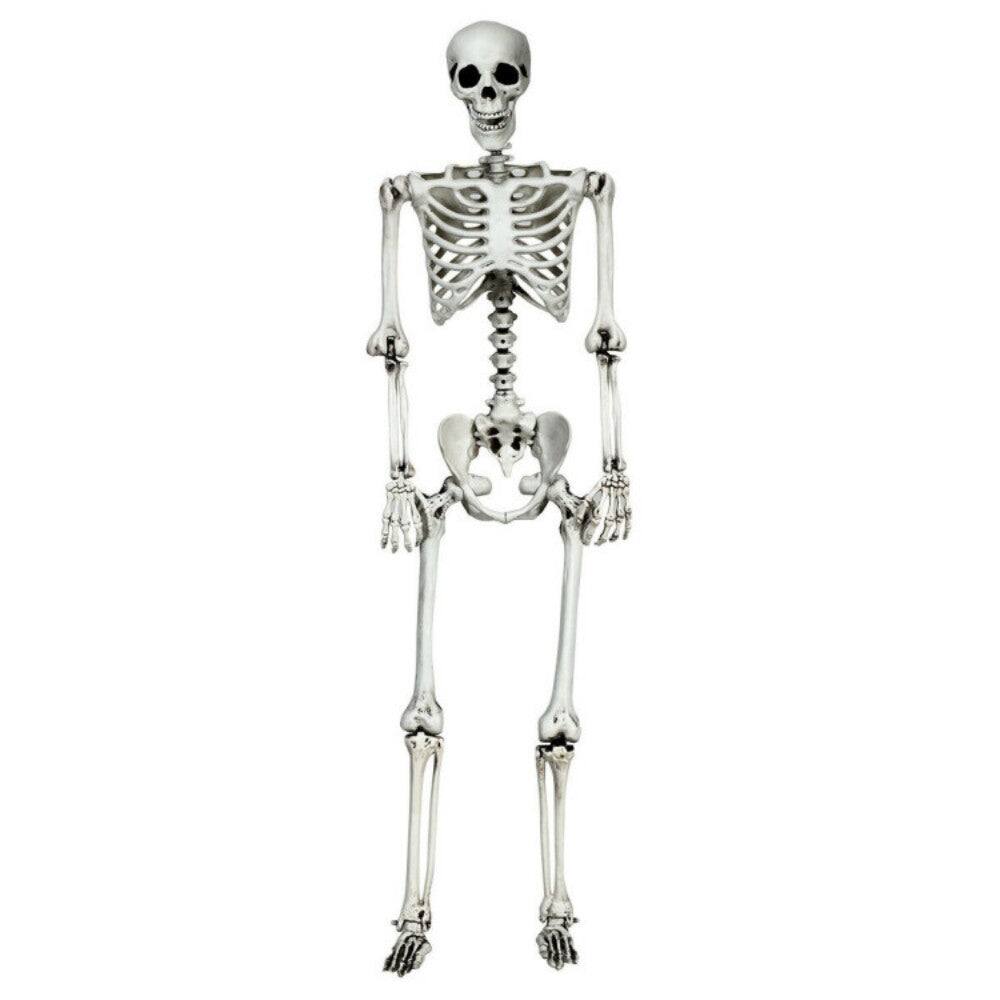 Front. Boyel Living - Life-Size Hanging Skeleton Decor for Halloween - white.